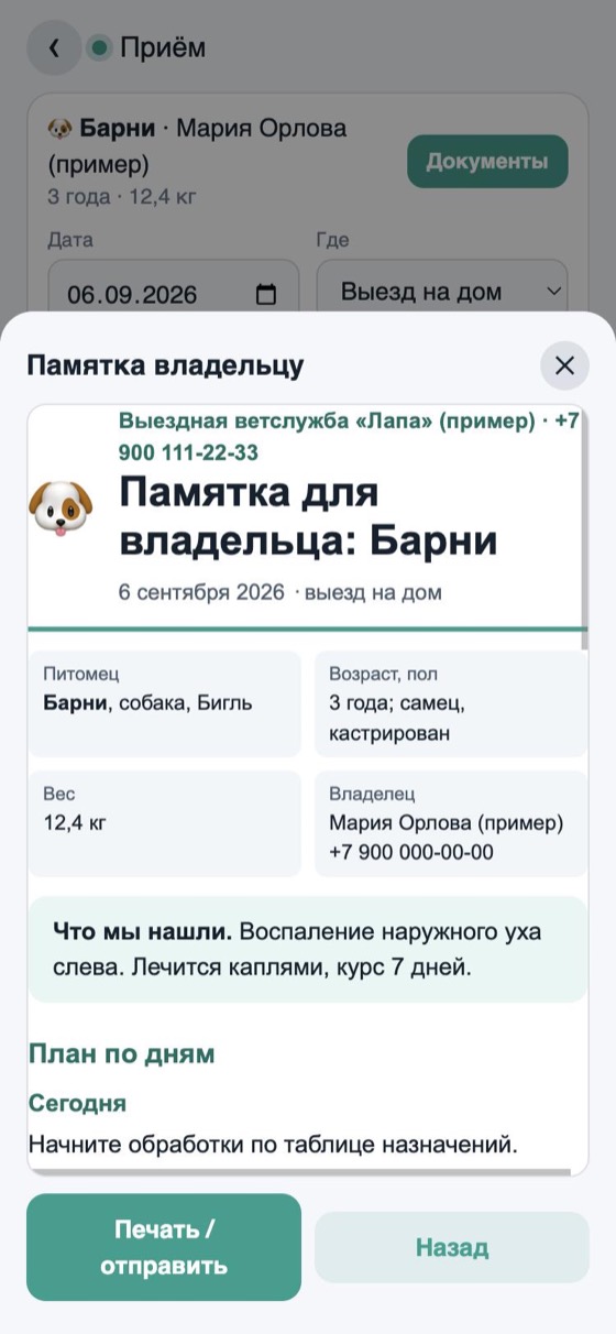 Памятка владельцу: шапка и что нашли